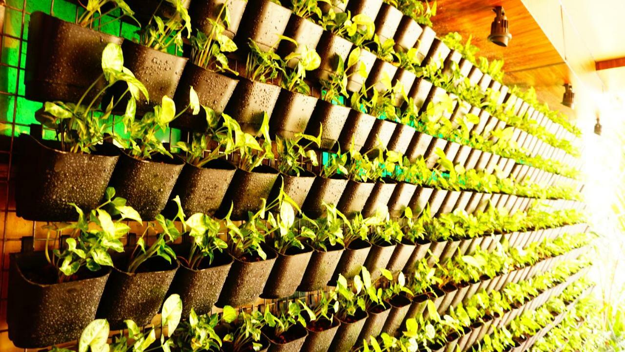 Thayamkery'S Royal Inn Kochi Екстер'єр фото